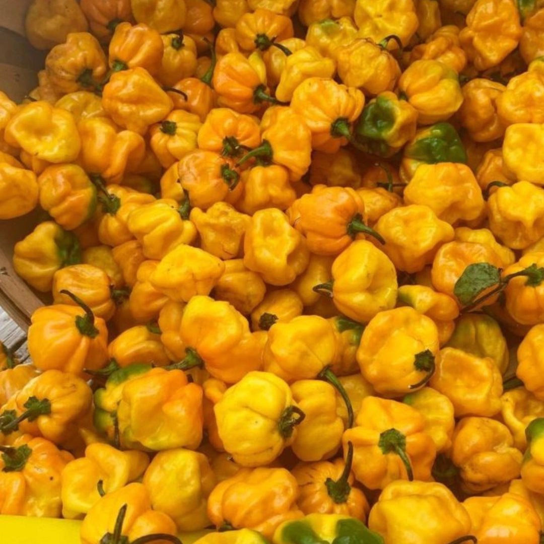 Close-up of a pile of bright yellow peppers with green stems.