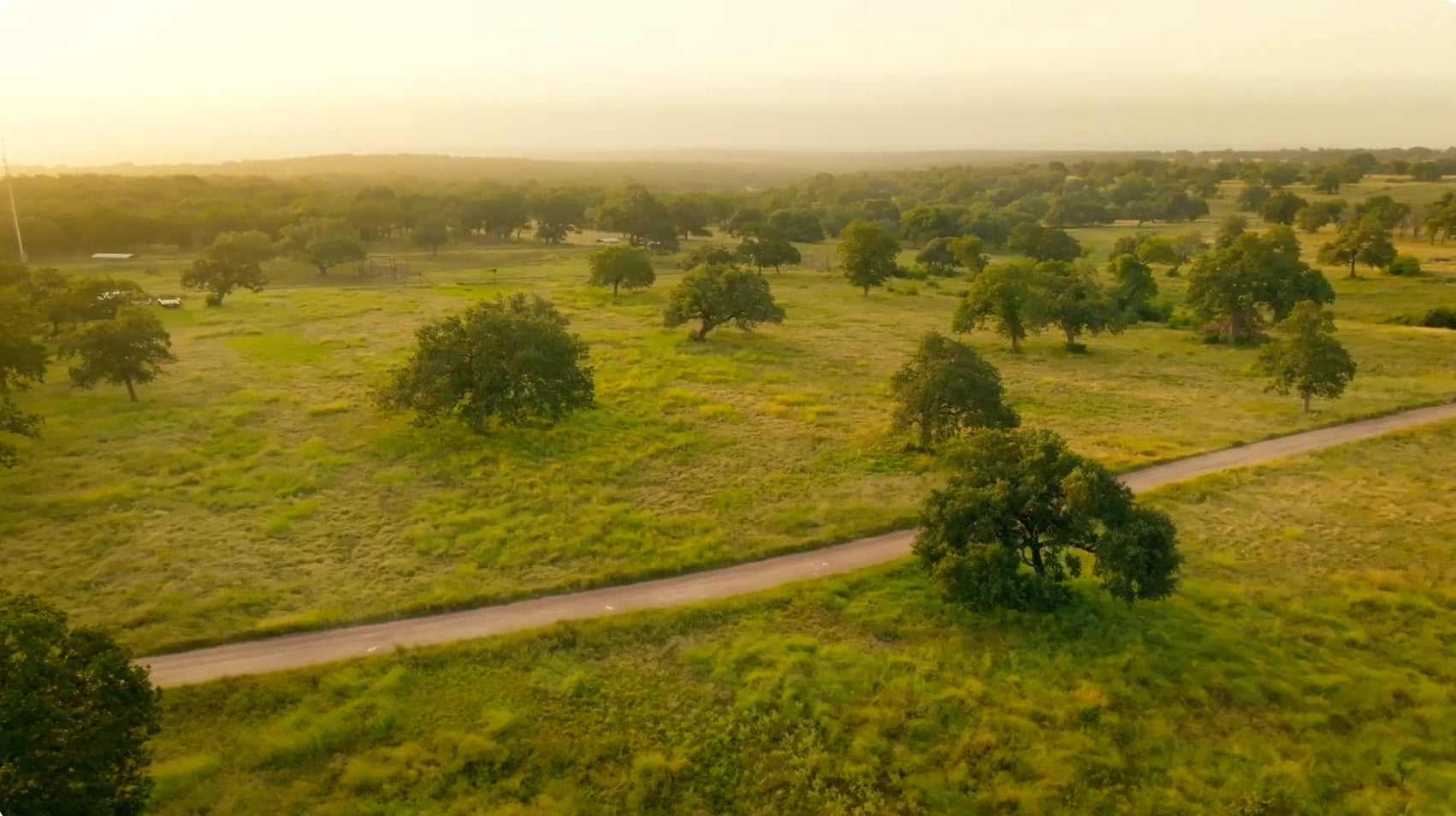 Hill Country Texas Landscape