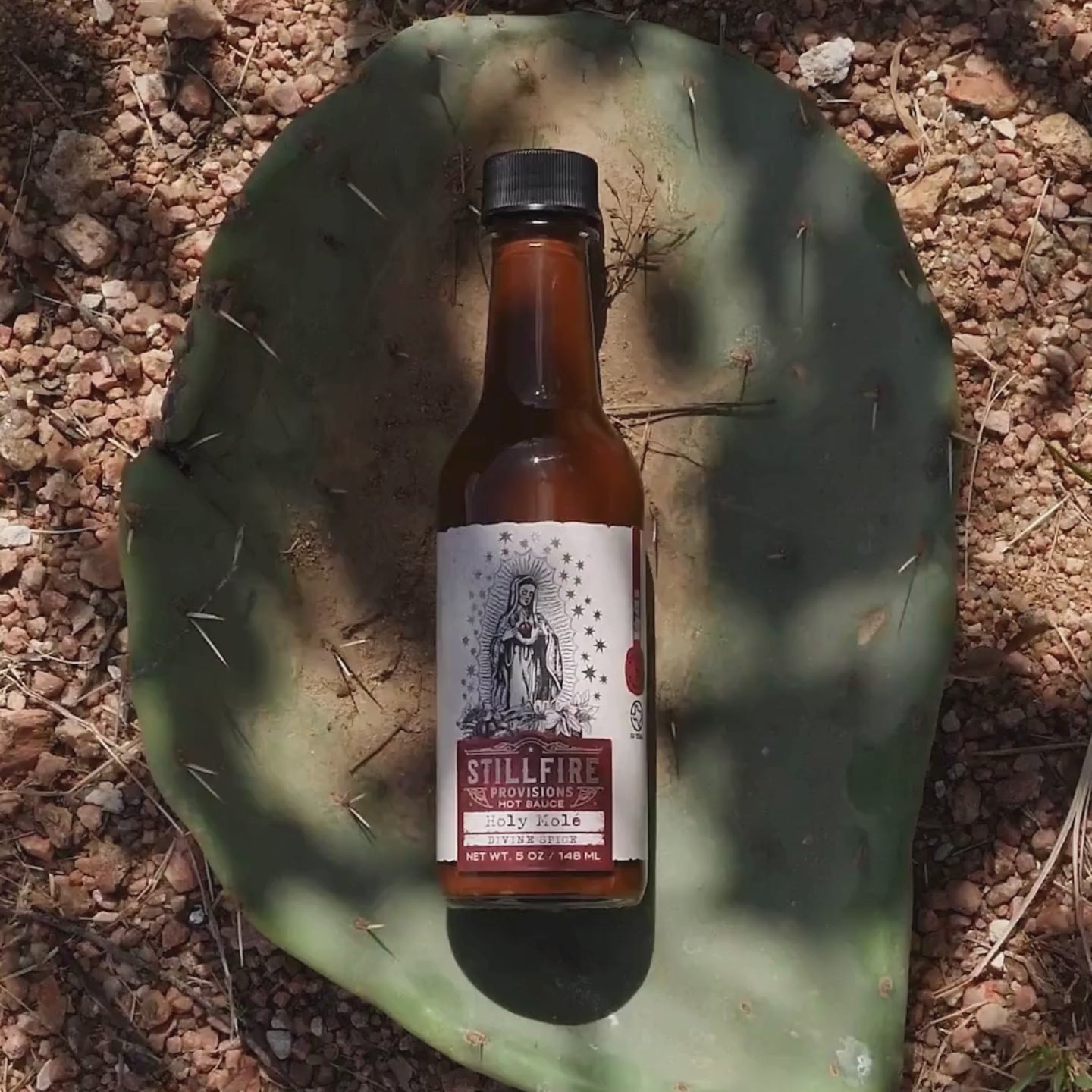 Holy Mole hot sauce, shown on a cactus-themed background.