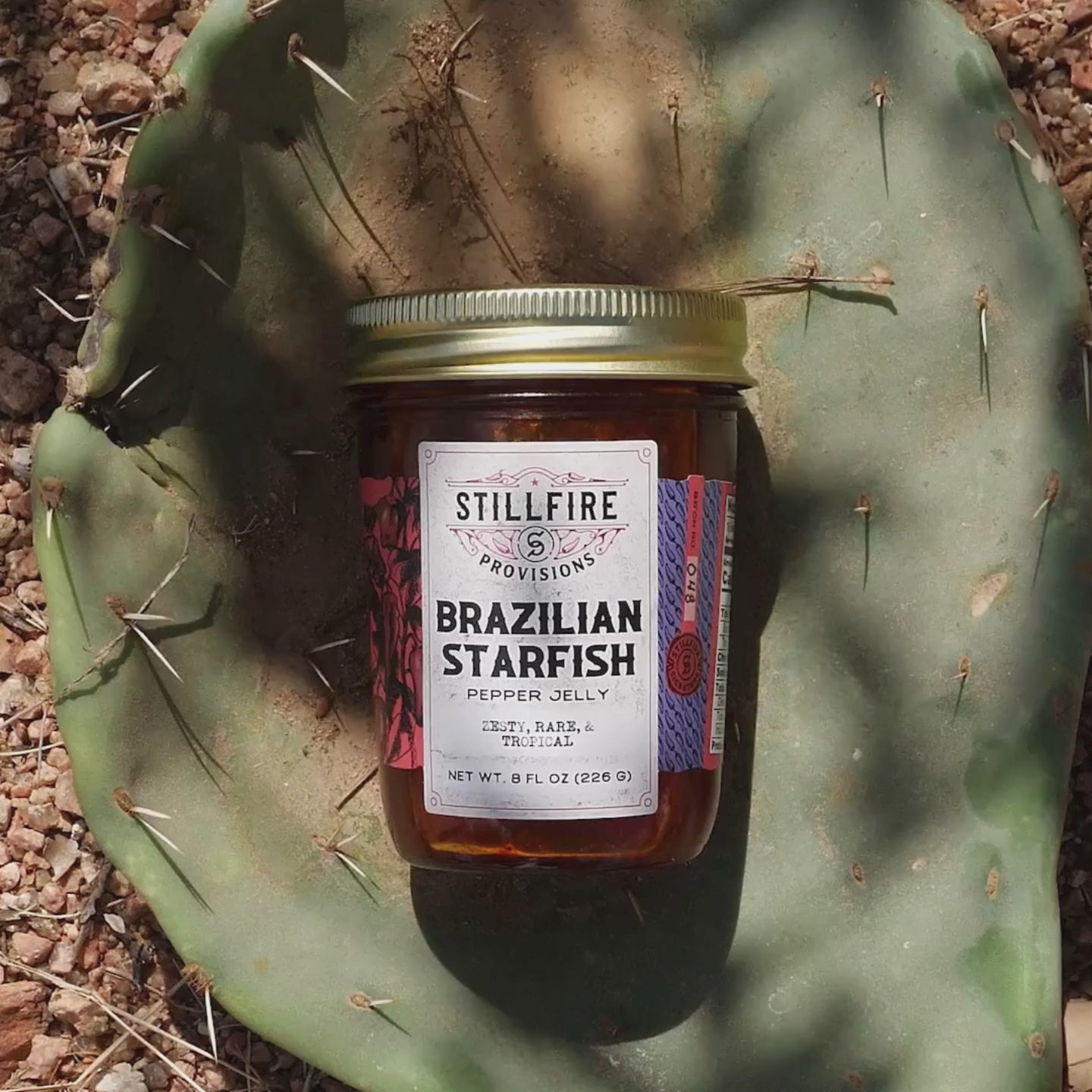Brazilian Starfish Pepper Jelly in a jar, shown on a cactus-themed background.