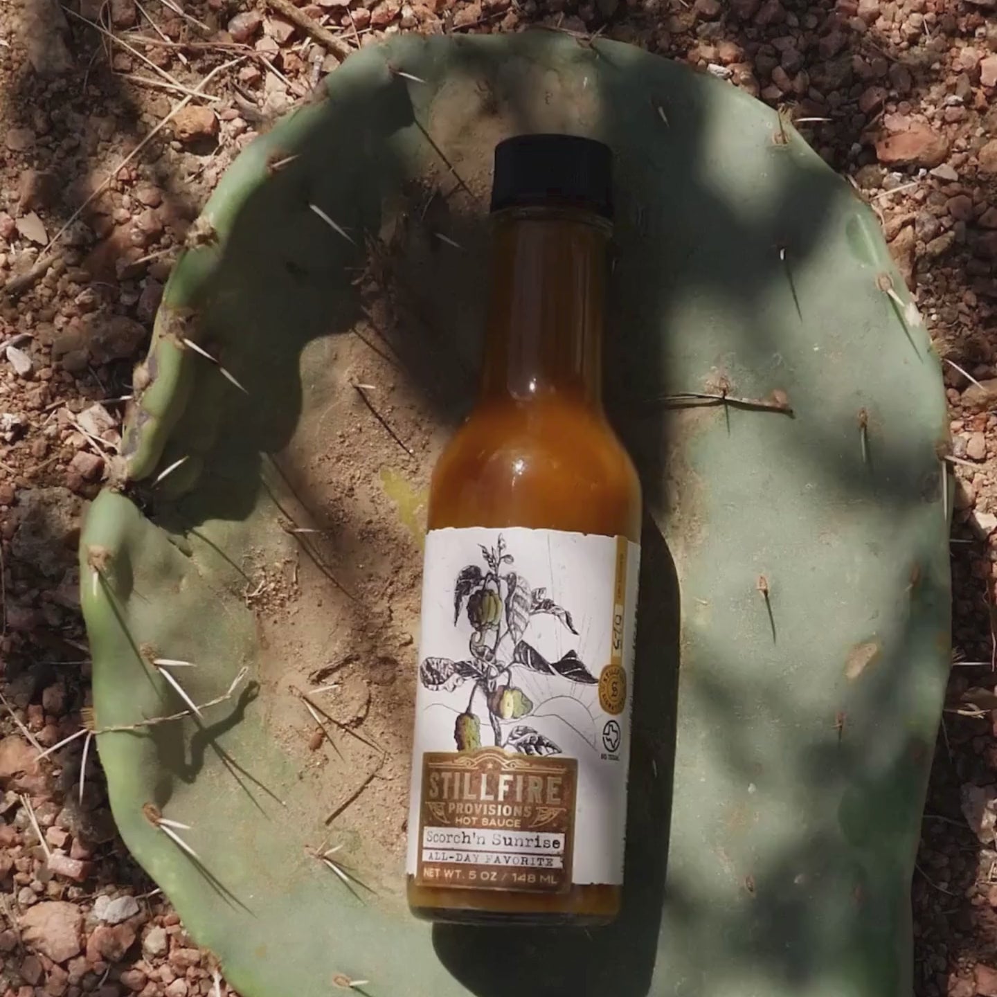 Scorch'n Sunrise hot sauce, shown on a cactus-themed background.